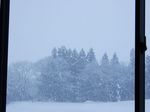 DSCF3689.jpg