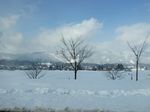DSCF3726.jpg