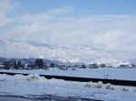 DSCF3731.jpg